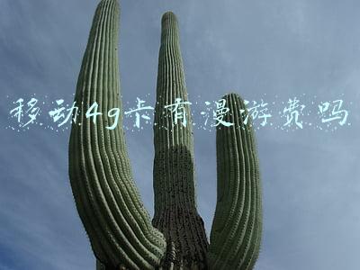 移动卡还有漫游费吗(中国移动宣布9月1日起正式取消国内漫游费)