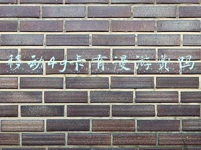 移动4g卡有漫游费吗
