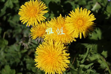 帷幄