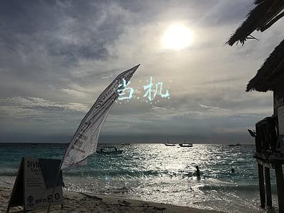 当机