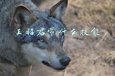 王昭君带什么技能