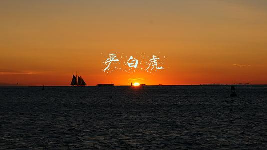 严白虎