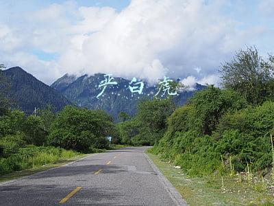 严白虎