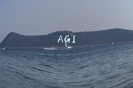 AGI