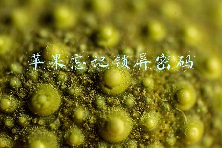 苹果忘记锁屏密码