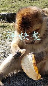 洋快餐