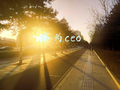 华为ceo