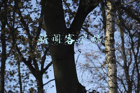 新闻客户端app(大数据时代，新闻大数据搜索网站平台有哪些？)