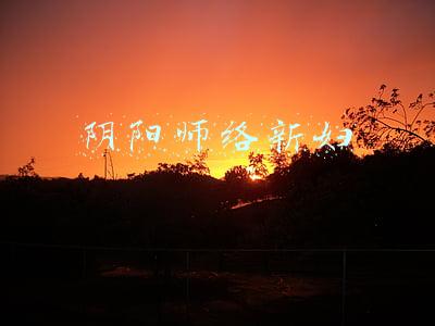 阴阳师络新妇
