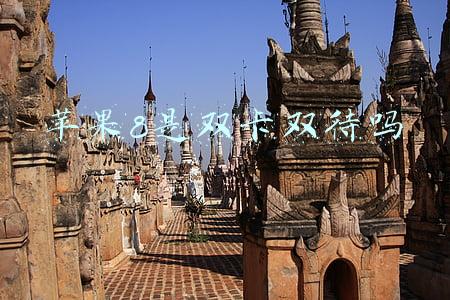 苹果8是双卡双待吗