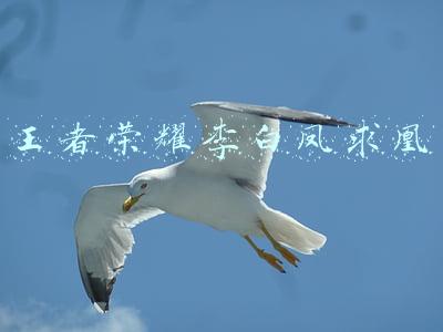 王者荣耀李白凤求凰