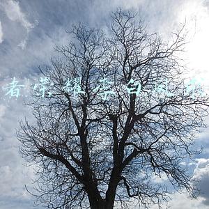 王者荣耀李白凤求凰