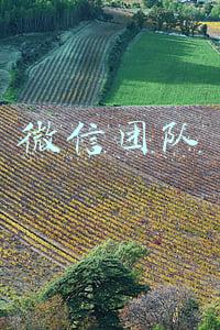 微信团队