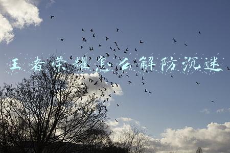 王者荣耀怎么解防沉迷