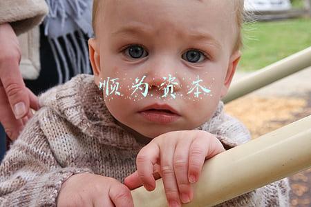 顺为资本