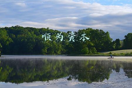 顺为资本