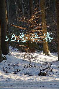 s8总决赛