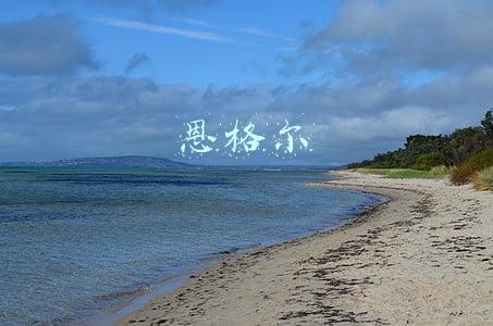 恩格尔