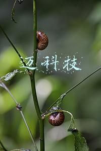 迈科技