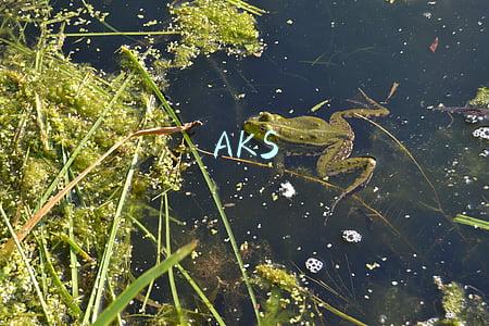 AKS