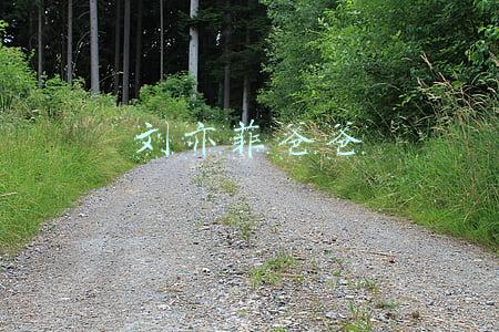 刘亦菲爸爸