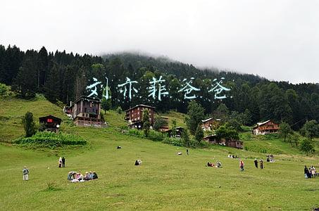 刘亦菲爸爸
