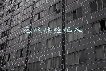 范冰冰经纪人