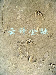 云锋金融