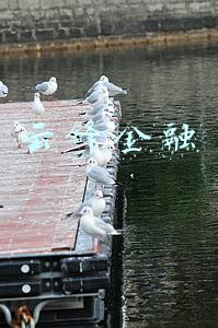 云锋金融