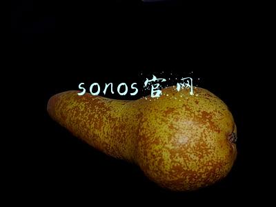 sonos官网