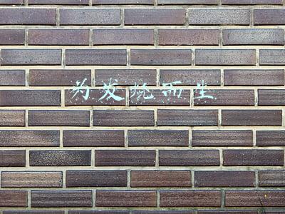 小米为发烧而生(小米为发烧而生是什么意思？意义详解)