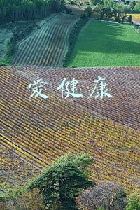 爱健康