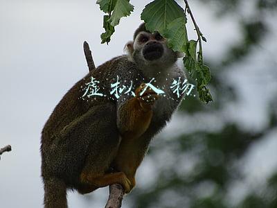 虚拟人物