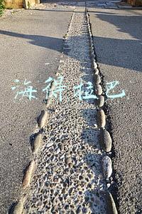 海得拉巴