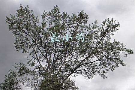 最小的