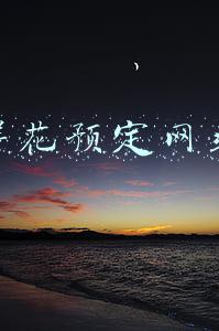 鲜花预定网站