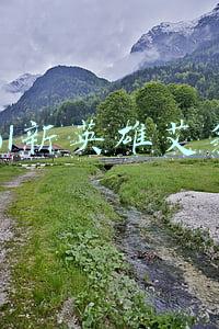 lol新英雄艾翁