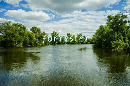 forrester
