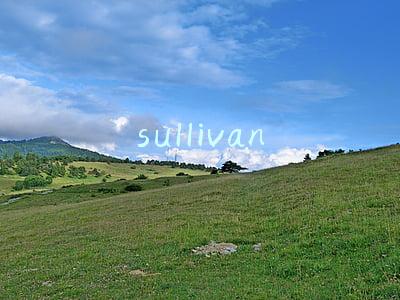 sullivan