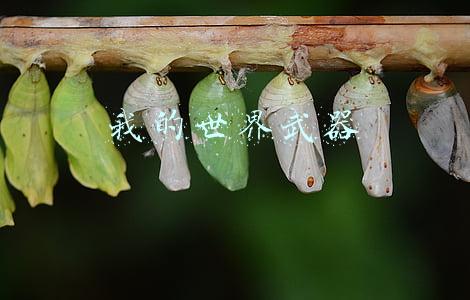 我的世界武器