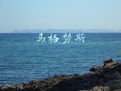 马格努斯