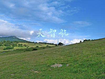 天智航