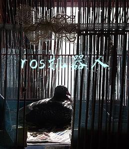 ros机器人程序设计(从零开始搭建ros机器人全向轮小车)
