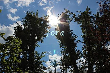 fora