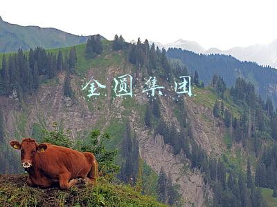 金圆集团洪文瑾(厦门金圆集团：姚志萍任公司总经理，洪文瑾不再担任)