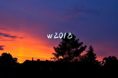 w2018