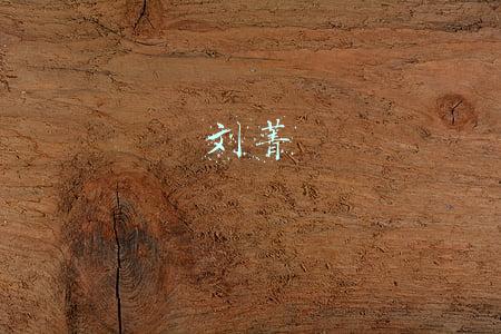 刘菁简历(何世清任达州市通川区人大常委会党组书记，刘菁任达州市通川区政协党组书记)