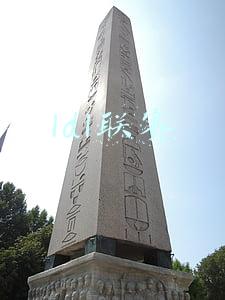 ldl联赛