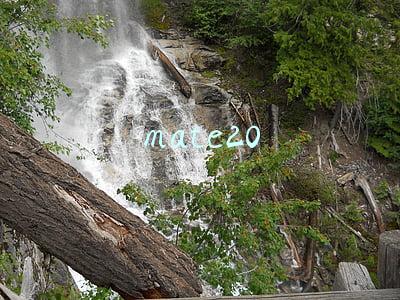 mate20