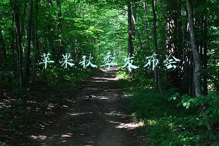 苹果秋季发布会